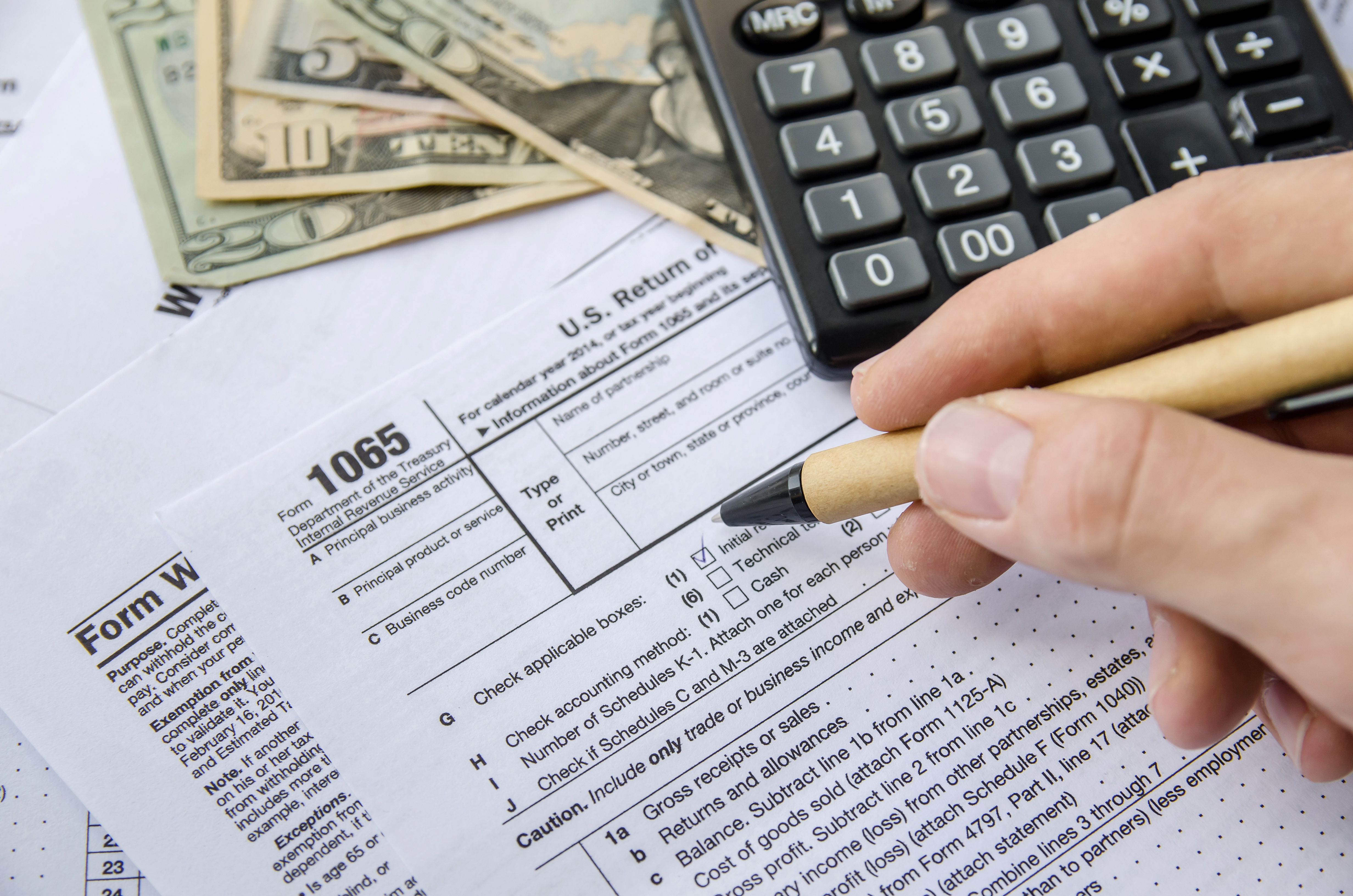 Form 1065 Schedules K1, K2 and K3 IRS Throws Rocks at a Nest